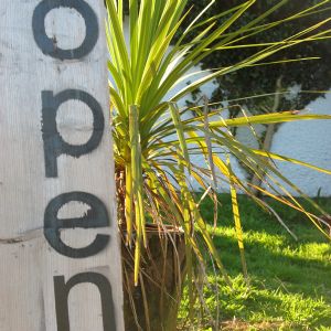 Return to the full news listing