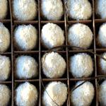 Find out more about 'Chilli & Lemongrass Truffles - tastes of the unexpected!'