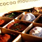 Dark and Decadent Truffle Collection