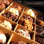Double Layer Milk Chocolate Collection