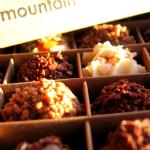 Milk Chocolate Collection