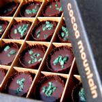 After-Dinner Peppermint Chocolates