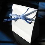 Two Chocolate White Satchel Blue Ribbon