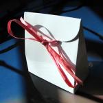 Two Chocolate White Satchel Pink Ribbon